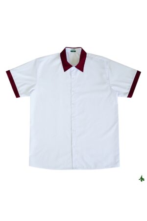 TrT - Áo sơ mi nữ