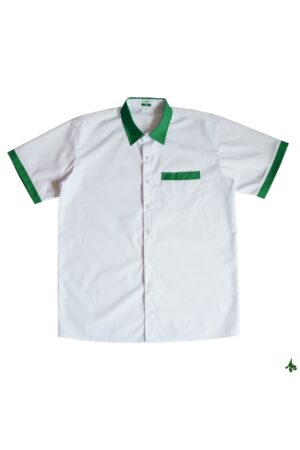 NgD - Áo sơ mi nam