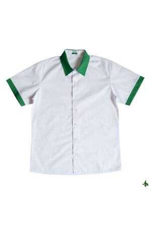 NgD - Áo sơ mi nữ